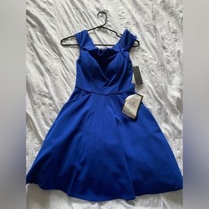 Royal blue mini dress! Great for a kid, pre teen, teen or petite woman.